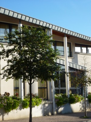 Crosne école primaire 6