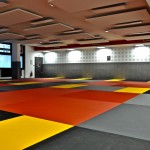 dojo