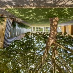 Le patio ombragé